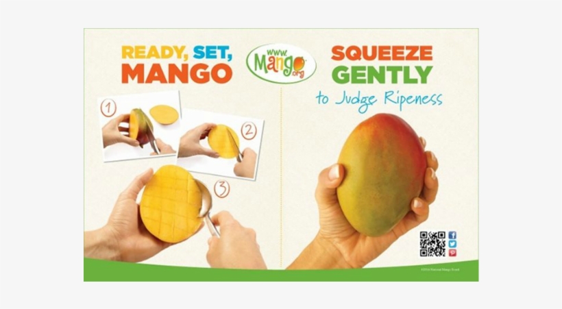 Point Of Sale Materi - Mango, transparent png download