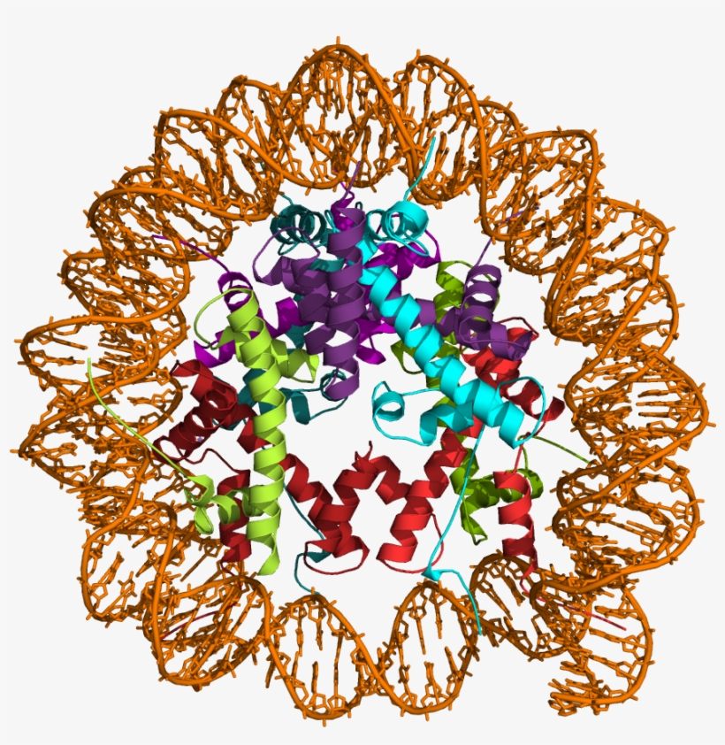 Dvasu Lab - Science, transparent png download