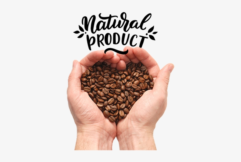Bean To Cup Coffee Beans For Bean To Cup Machines Loving - Coffee Bean Hand Png, transparent png download