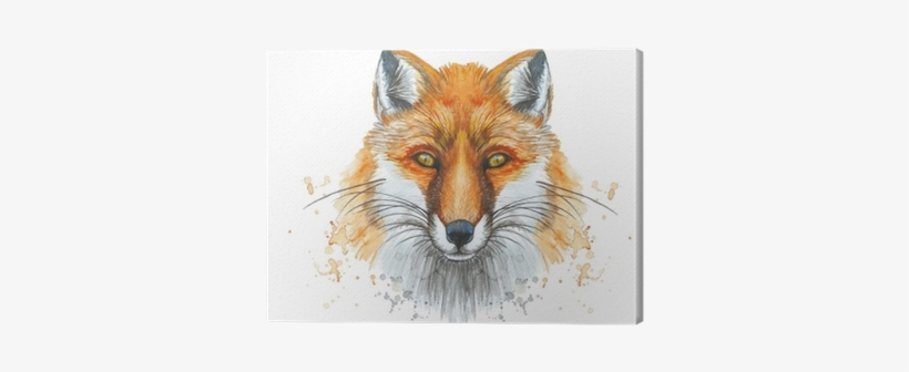 Painted With A Watercolor Drawing Of A Red Fox, The - Raposa Desenho, transparent png download