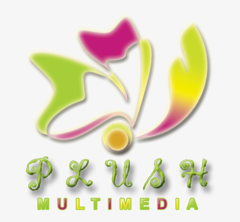 Photography Services In Hicago-united States - Graphic Design, transparent png download