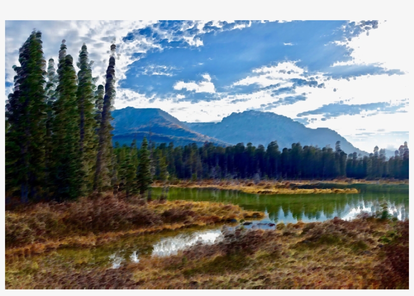 Tree Landscape Nature Natural Environment - Landscape, transparent png download