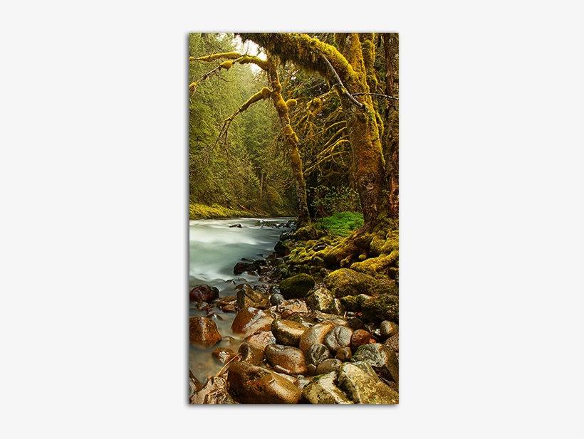 Survivalist Wallpaper Big - Book Of Proverbs Quotes, transparent png download