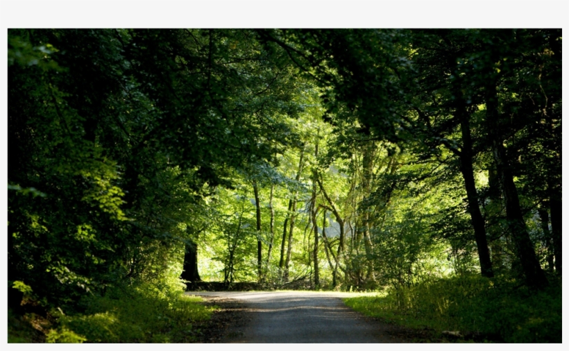 Score 50% - Full Hd, transparent png download