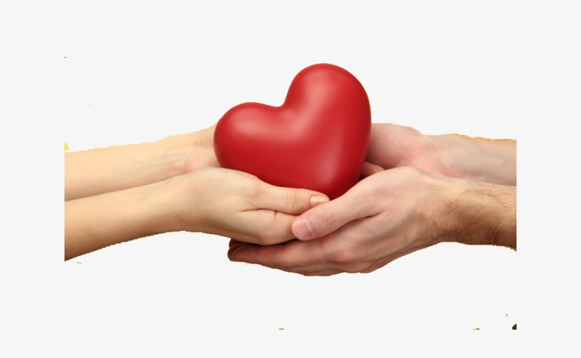 Heartinhands-638x425 - Heart, transparent png download