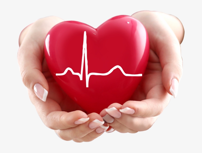 01 Jul Today's Cardiac Care Challenges And Opportunities - Toy, transparent png download