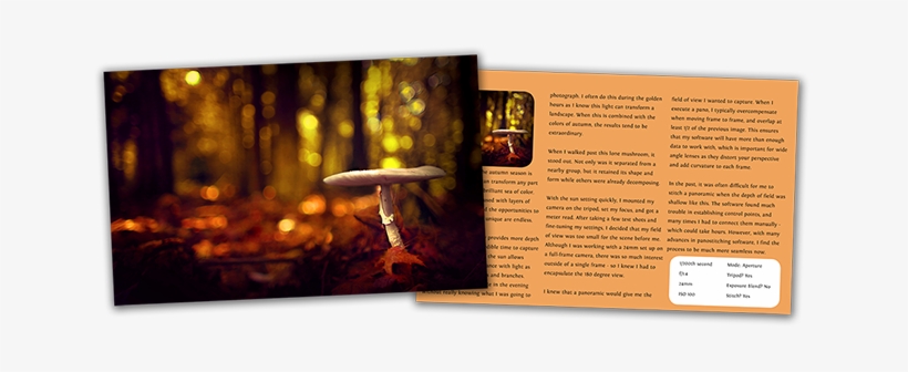 Portfolio Of Bokeh Is Amazing Because You Get An Insight - Portfolio, transparent png download