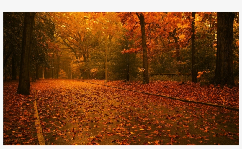 Score 50% - Autumn Scenes, transparent png download