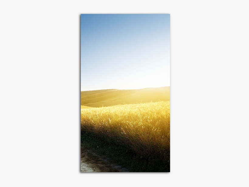 Country Road Mobile Wallpaper - Field, transparent png download