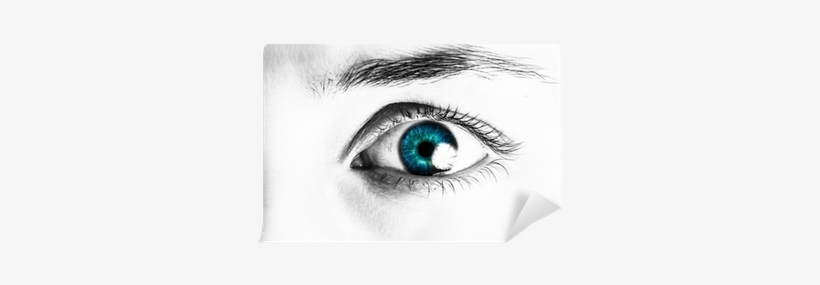 Close-up Portrait Of A Beautiful Female Eye Wall Mural - Close-up, transparent png download