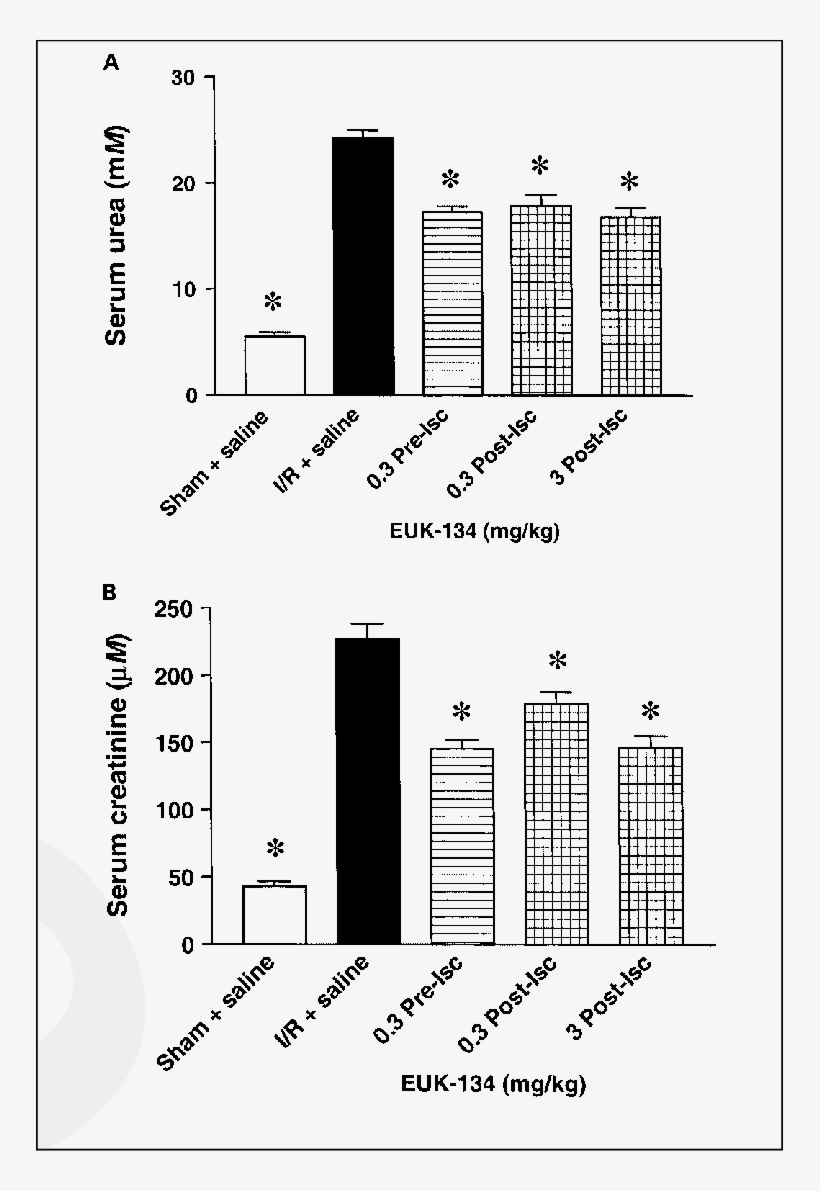 Effect Of Euk-134 On Tubular Injury Caused By Renal - Diagram, transparent png download