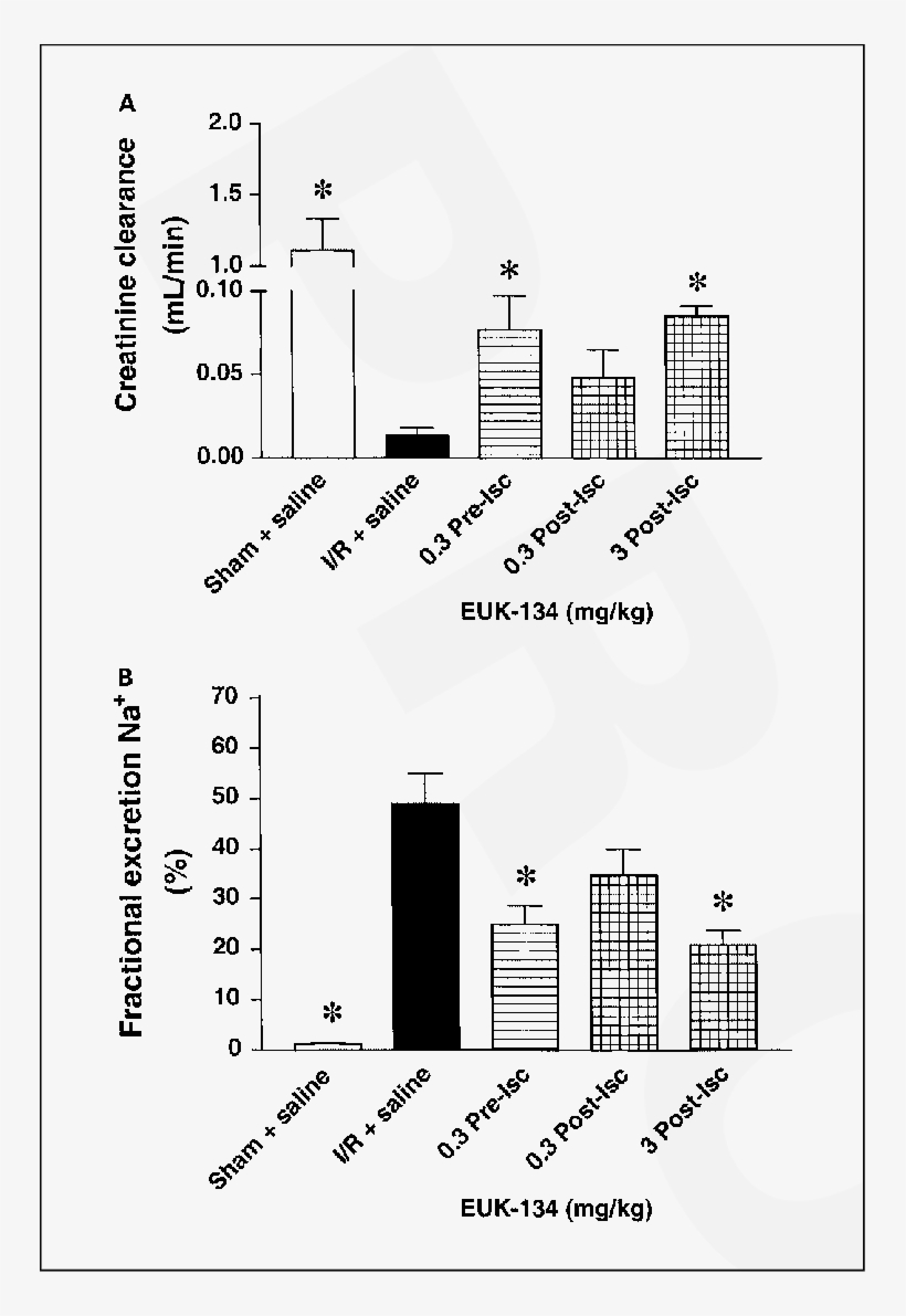 Effect Of Euk-134 On Glomerular And Tubular Dysfunction - Diagram, transparent png download