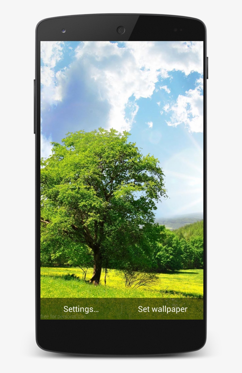 Nature Wallpaper Png, transparent png download