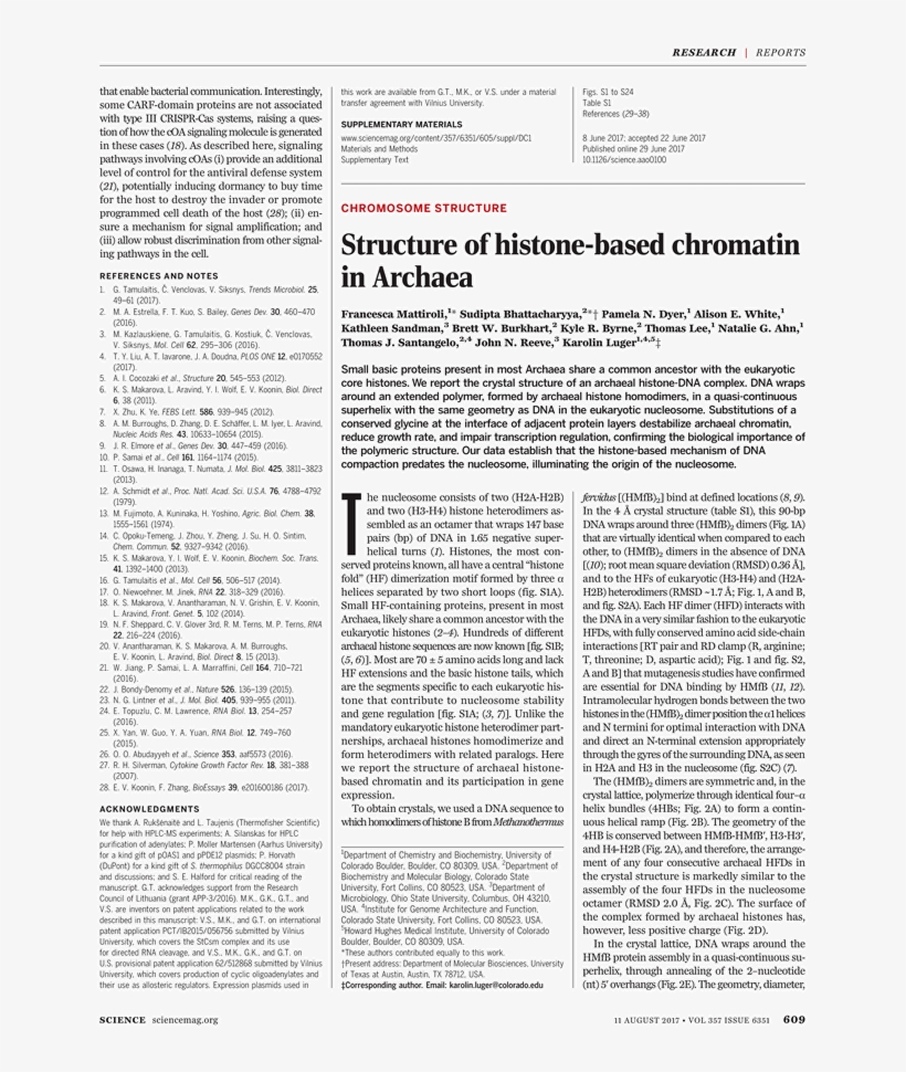 Text Page - Holy Land - The Necropolis, transparent png download