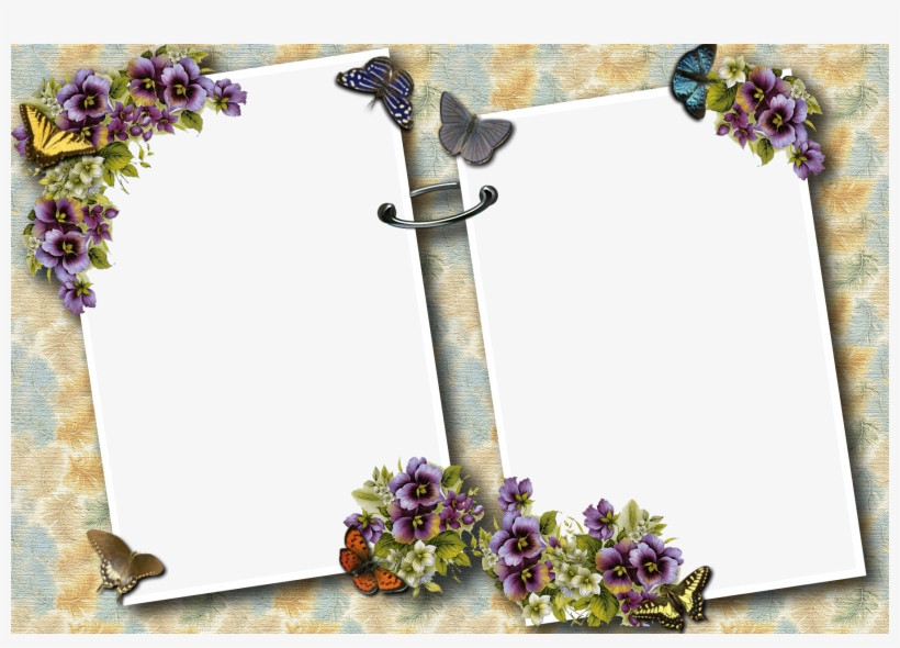 Transparent Photo Frames Png, transparent png download