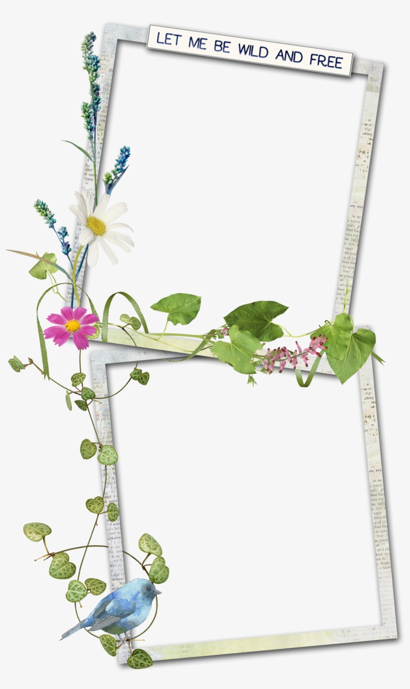 Photo Frames Png File Page 6 Frame Design Amp Reviews - Portable Network Graphics, transparent png download