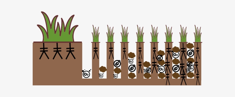 Process Of Aeration, Compost Top Dressing, Nutrients - Compost Topdressing, transparent png download
