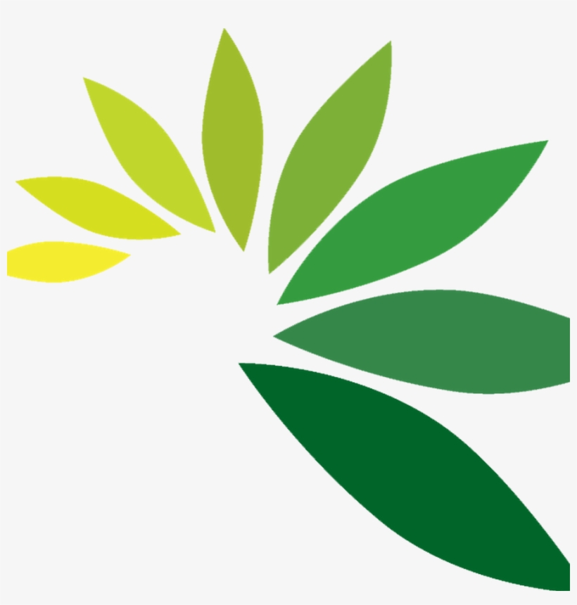 Travel Insurance Guide - Leaves For Logo Png, transparent png download