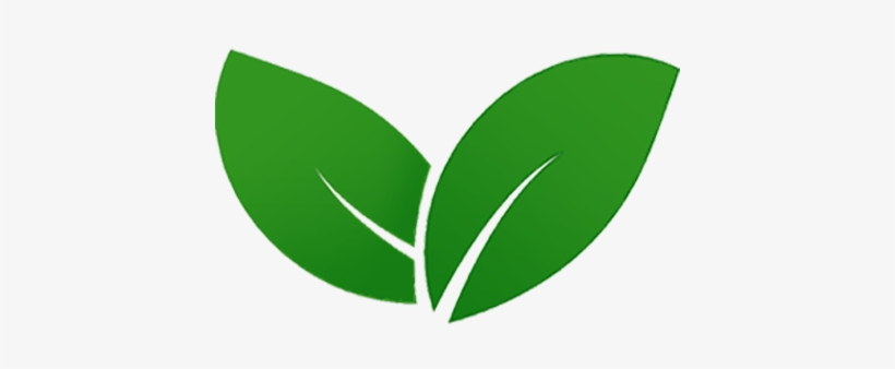 Diet Eco Green Leaf Png Transparent Png 626x626 Free Download On Nicepng