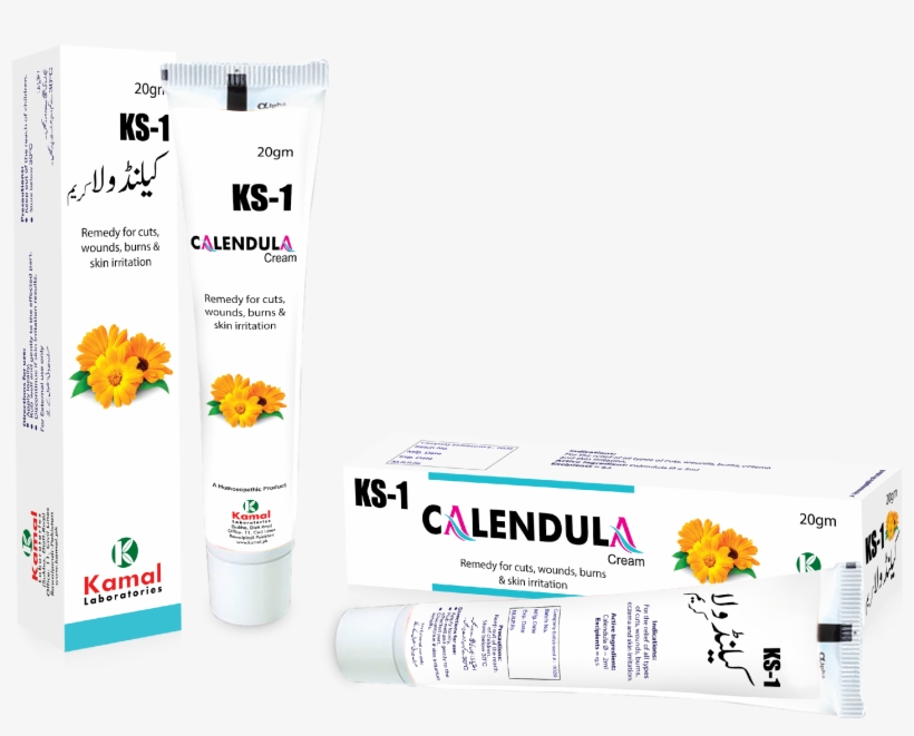 Ks 1 Calendulla Cream - Key Stage 1, transparent png download