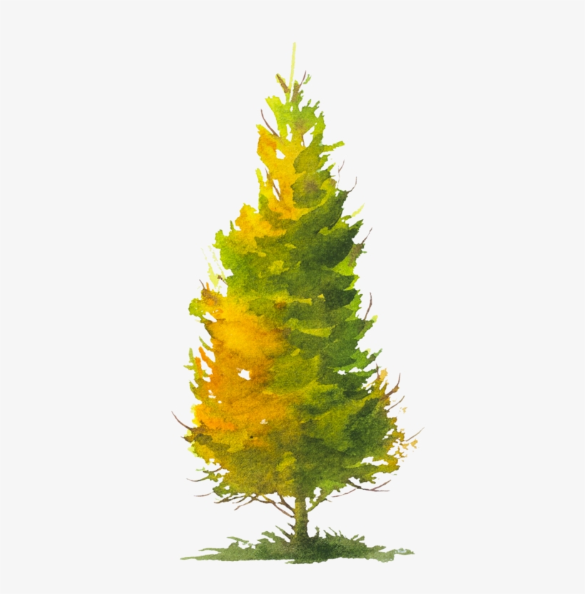 Tree, transparent png download