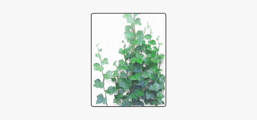 Vines, Climbing Plant Blanket - Canvas, transparent png download