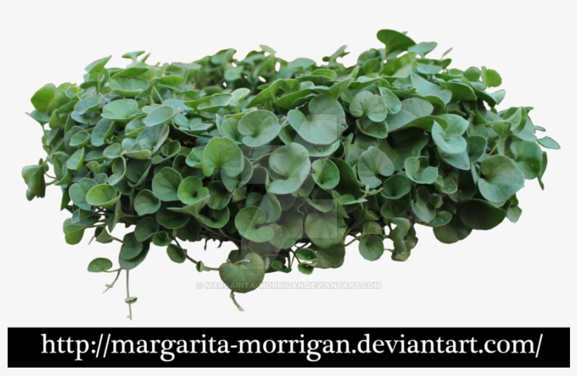 9 Image, P > - Green Balcony Plants Png, transparent png download