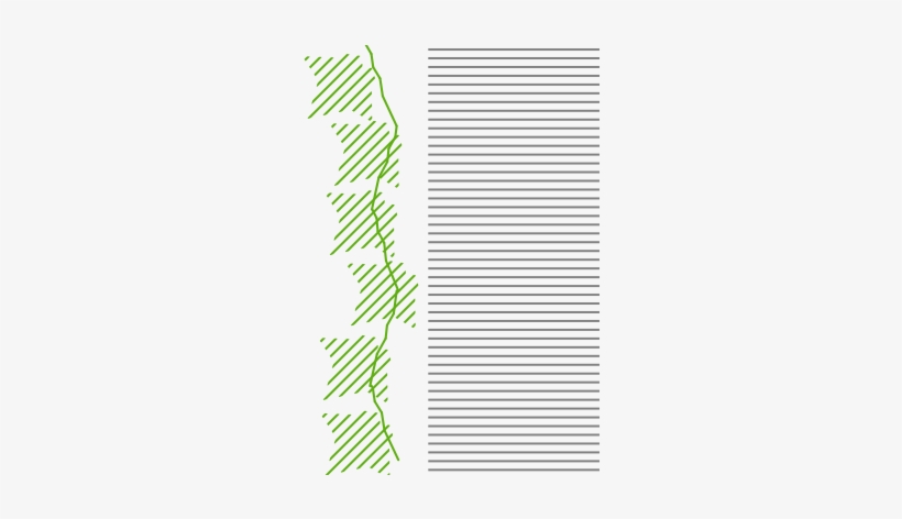 Plants Holding Onto Trees In The Jungle Or Climbing - Climber Green Facade Structure, transparent png download
