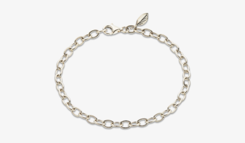 Silver Fine Link Bracelet - Solid Gold Ball Chain Bracelet, transparent png download