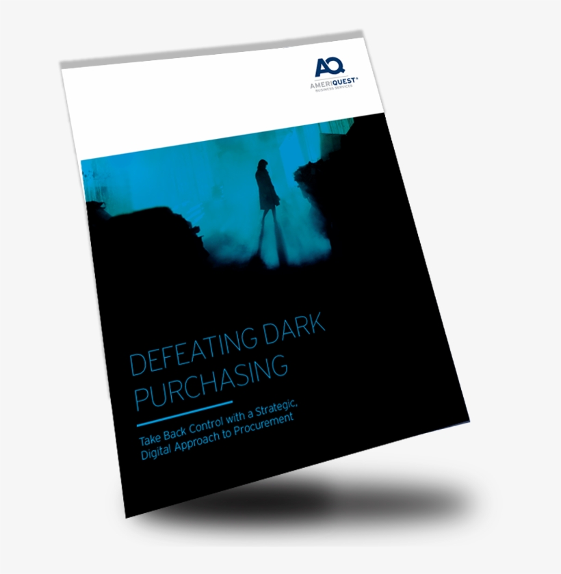 A New Look At The Effects Of Unmanaged Indirect Spend - Hallo'wed's Transformation [book], transparent png download