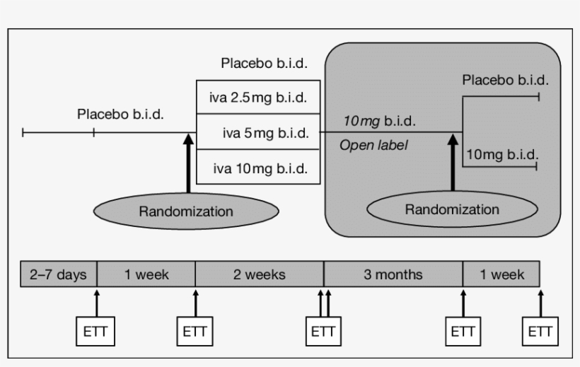 Design Features Of A Multicenter, Double Blind, Placebo - Diagram, transparent png download