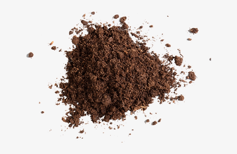 Coconut Coir - Soil, transparent png download
