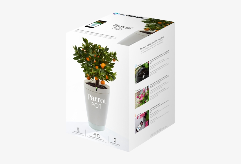 Surround Yourself With Beautiful Plants - Parrot Flower Power Self-watering Pot And Plant Sensor, transparent png download