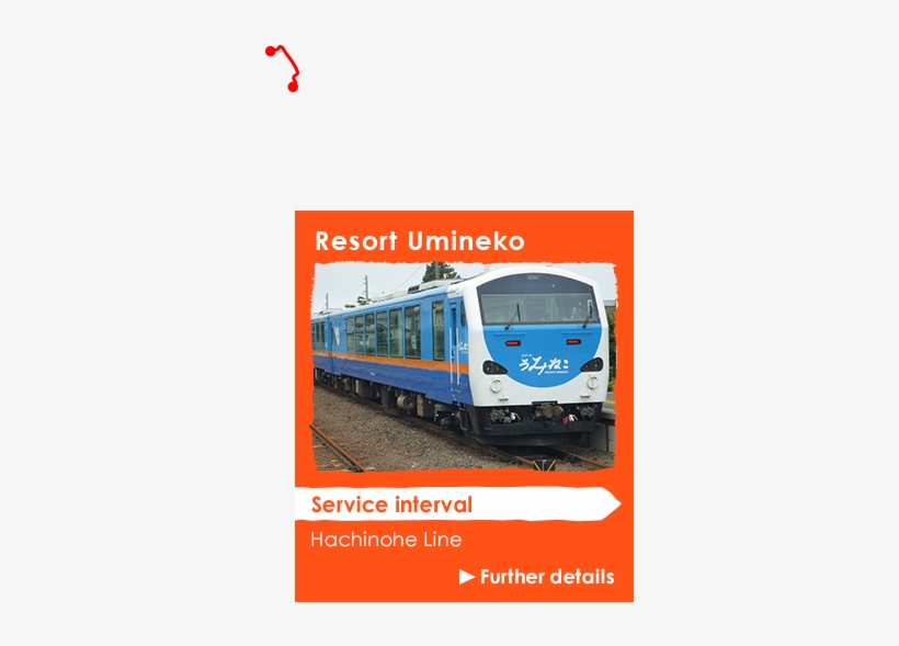 Page Top - Black-tailed Gull, transparent png download