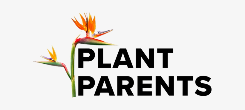 Room Parents, transparent png download