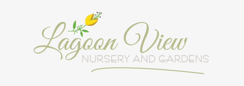 Take A Stroll, See How The Plants Grow, And Experience, transparent png download