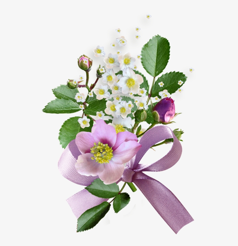 Flower, transparent png download