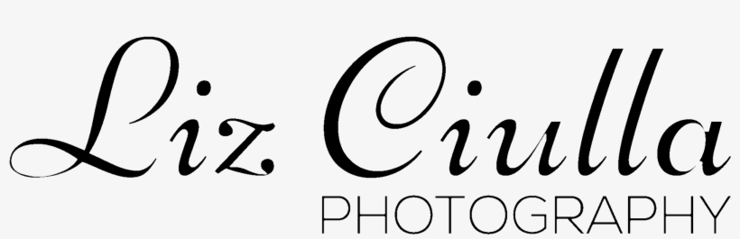 1st Birthday Cake Smash - Photography, transparent png download