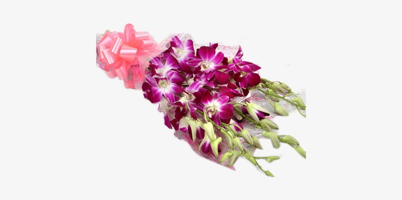 Exotic Orchids Bunch - Sushma Florist, transparent png download