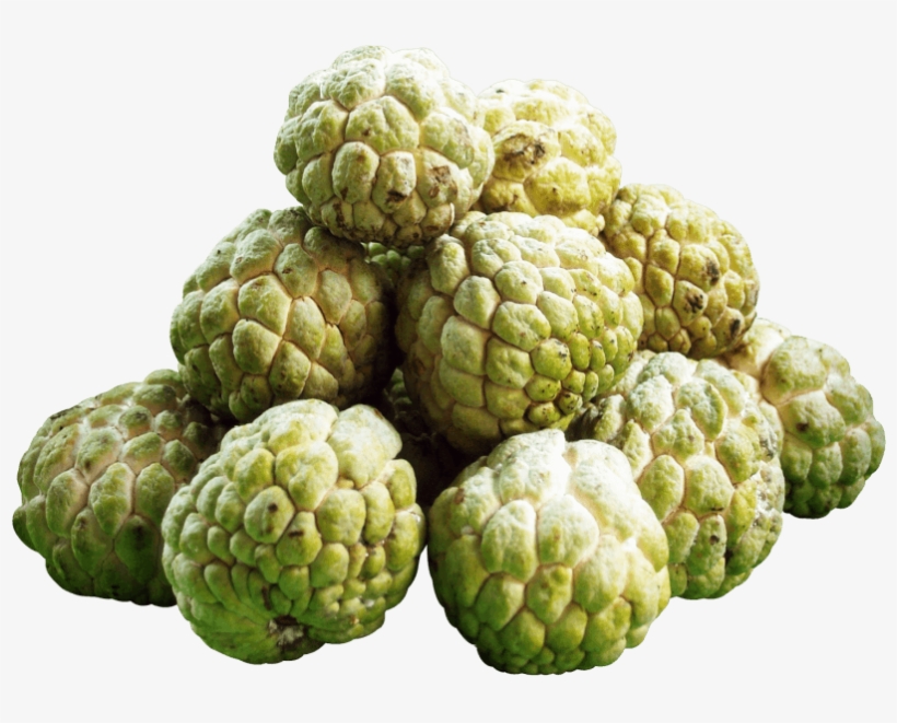 Custard Apple Png Transparent Image - Custard Apple Fruit Png, transparent png download