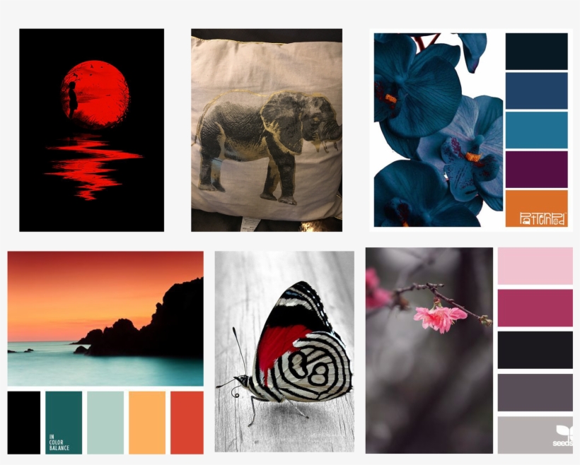 Color Mood Board - Indian Elephant, transparent png download