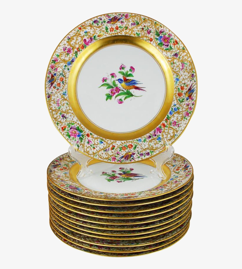 Dresden Ambrosius Lamm 12 Dinner Plates Set Birds Ornithological - Plate, transparent png download