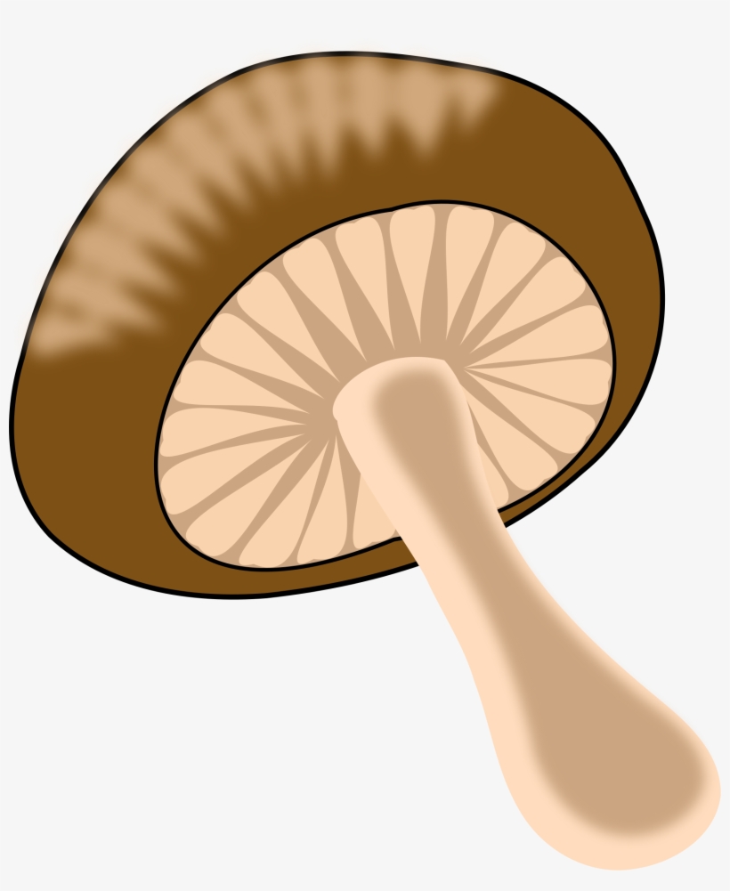 This Free Icons Png Design Of Green, transparent png download