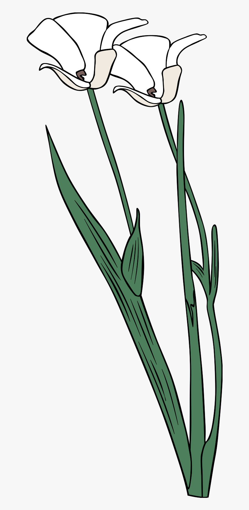 Plant Shrub Flowers Outline Svg Clip Arts 240 X 595, transparent png download