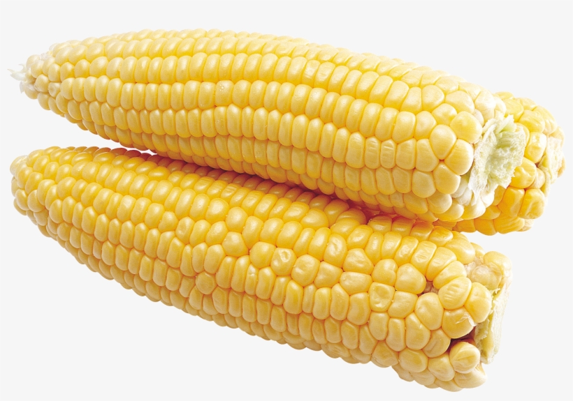 Corn Hd Png, transparent png download