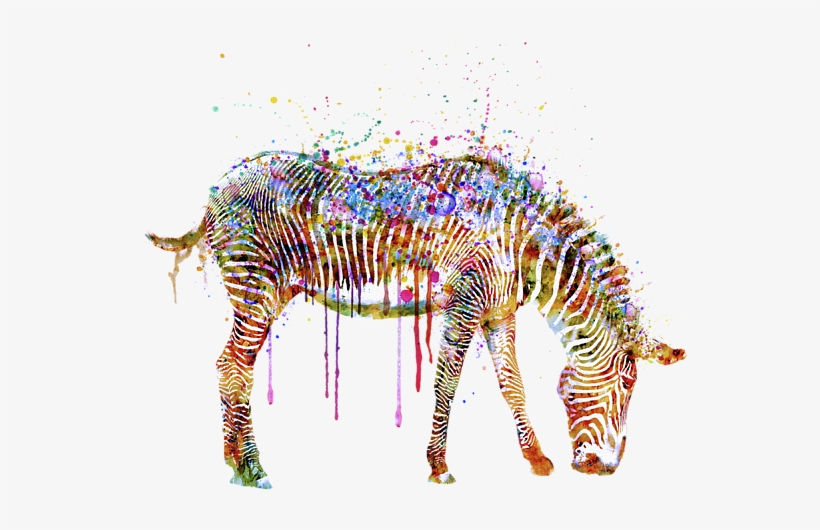 Bleed Area May Not Be Visible - Watercolor Zebra, transparent png download