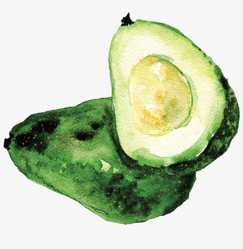 Avocado Vector - Portable Network Graphics, transparent png download