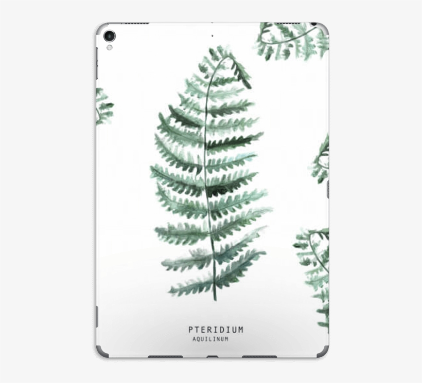 Pteridium Aquilinum Skin Ipad Pro - Ipad, transparent png download