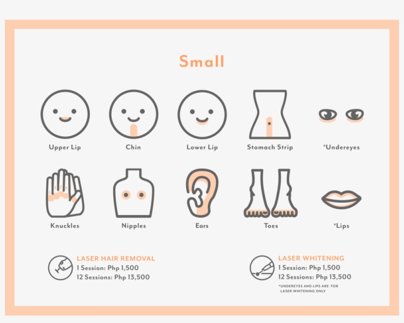 Program Pricelist Small Lr - Laser, transparent png download