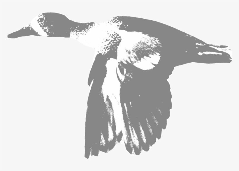 Blue-wing - Portable Network Graphics, transparent png download